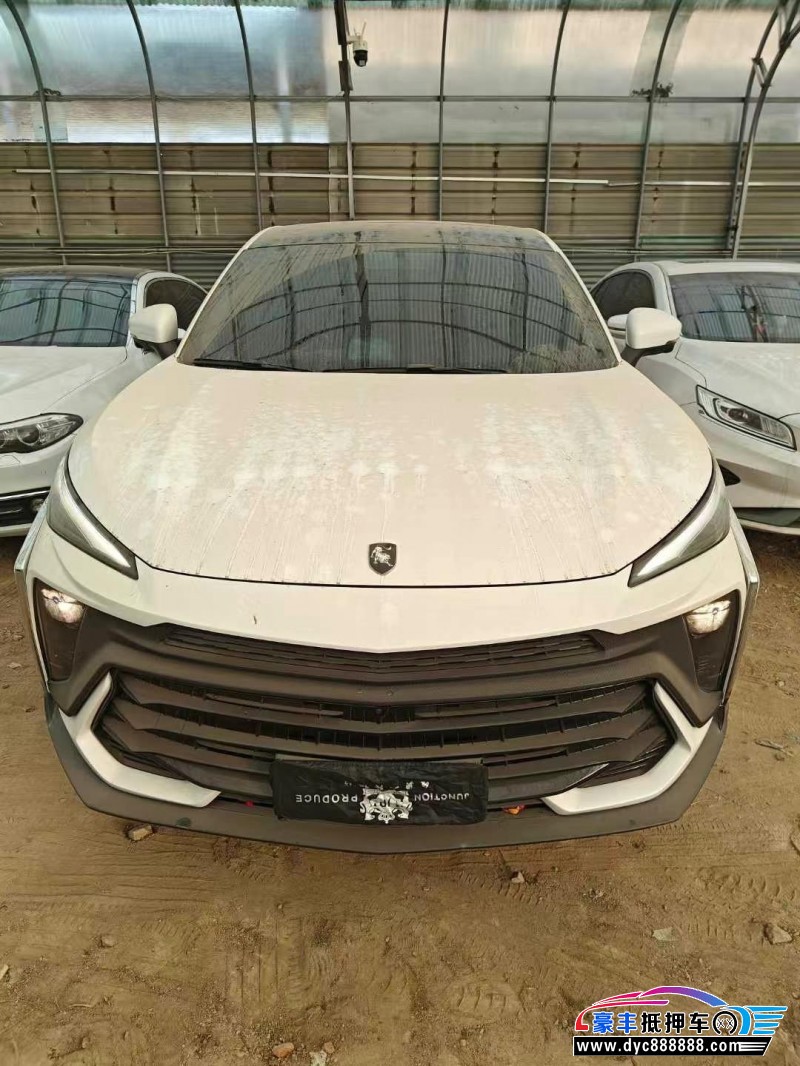 24年东风风行T5轿车抵押车出售