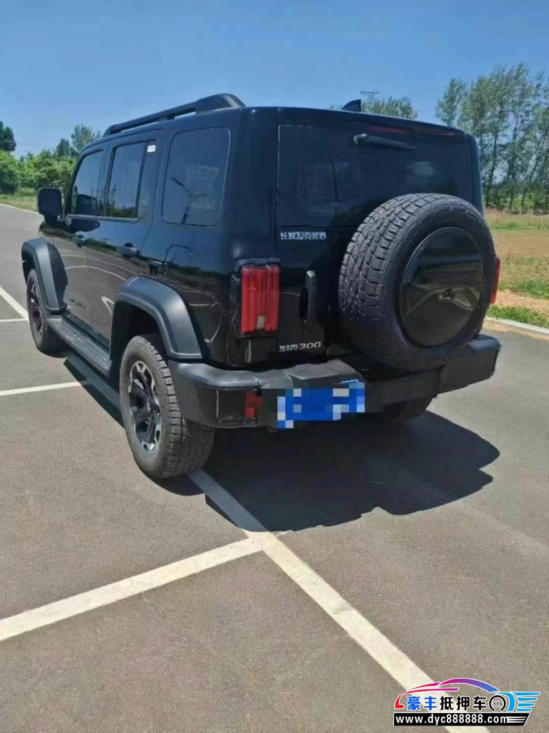 24年WEY坦克300轿车抵押车出售