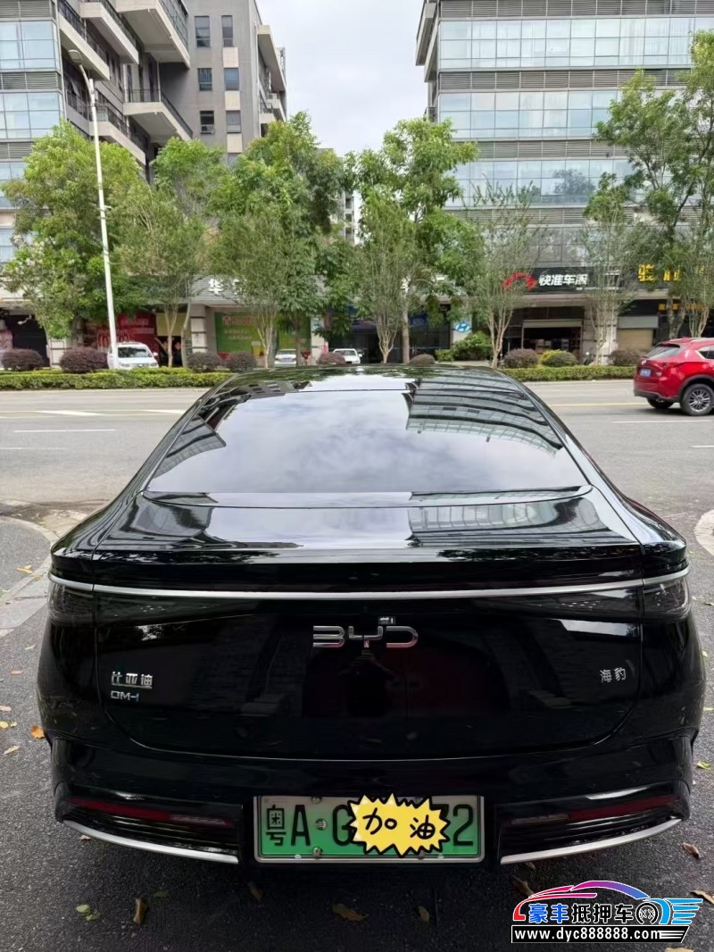 24年比亚迪海豹轿车抵押车出售