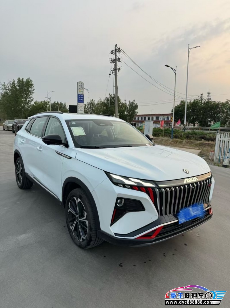 24年东风风神皓极轿车抵押车出售