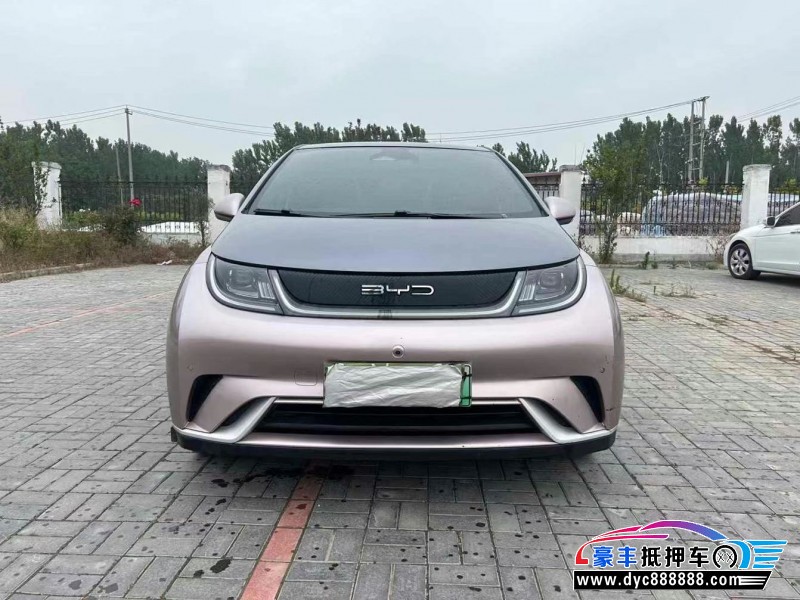 23年比亚迪海豚轿车抵押车出售