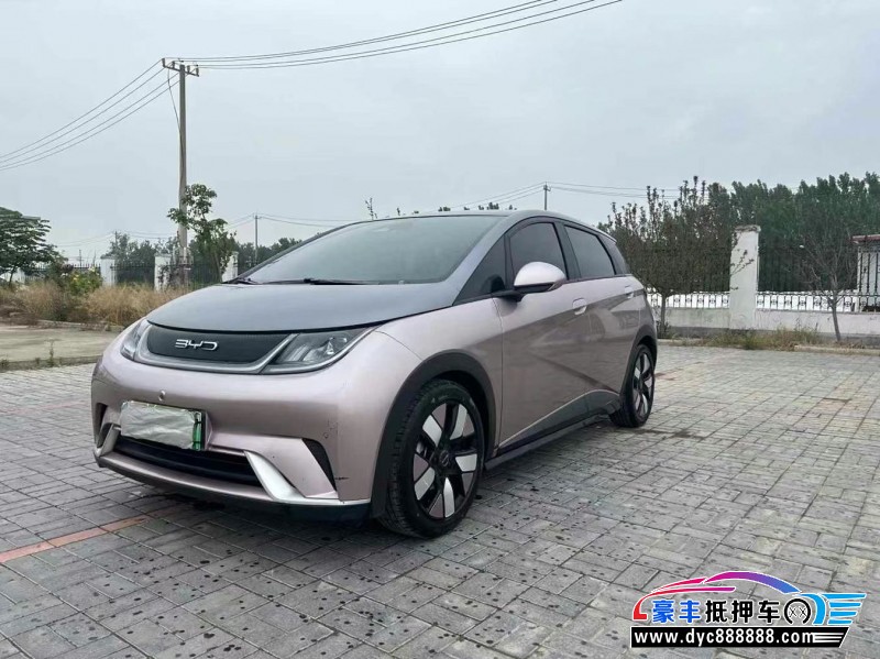 23年比亚迪海豚轿车抵押车出售