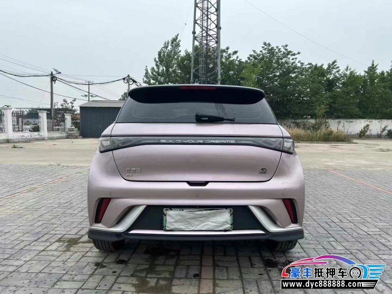 23年比亚迪海豚轿车抵押车出售