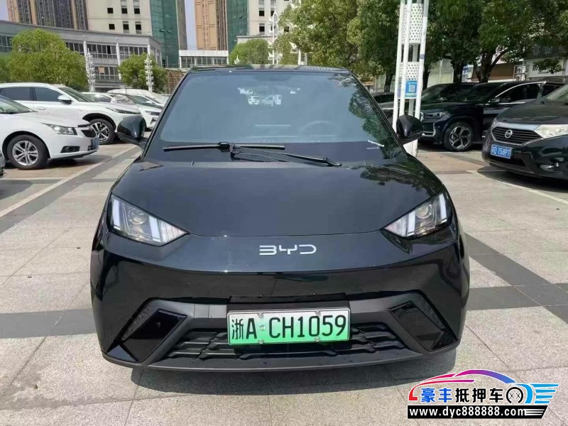24年比亚迪海豚轿车抵押车出售