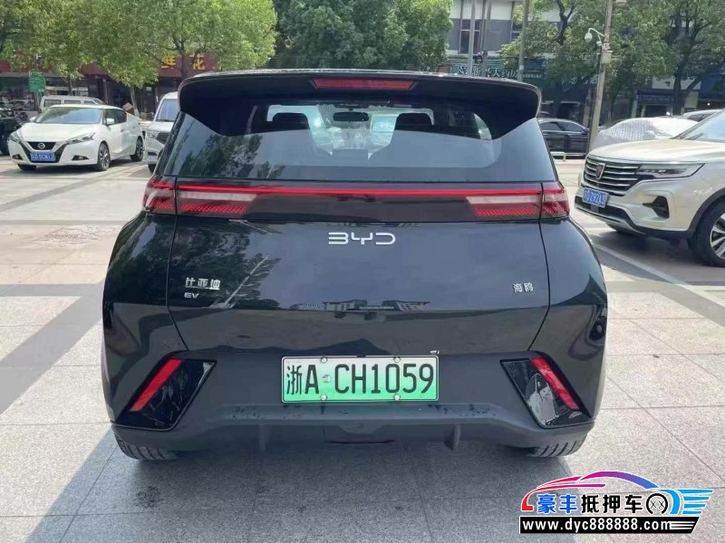 24年比亚迪海豚轿车抵押车出售