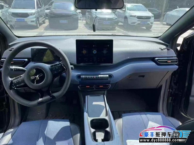 24年比亚迪海豚轿车抵押车出售