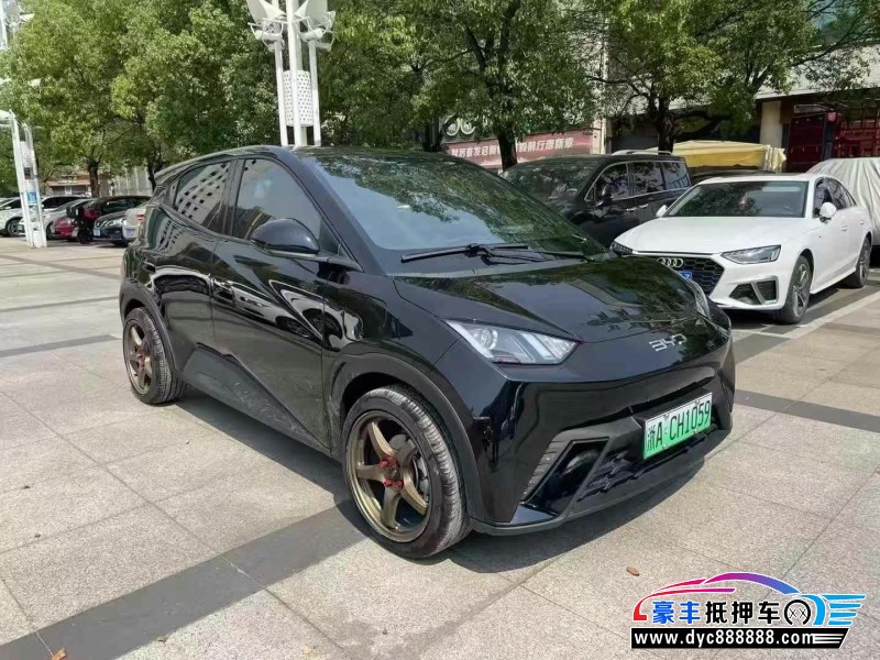 24年比亚迪海豚轿车抵押车出售