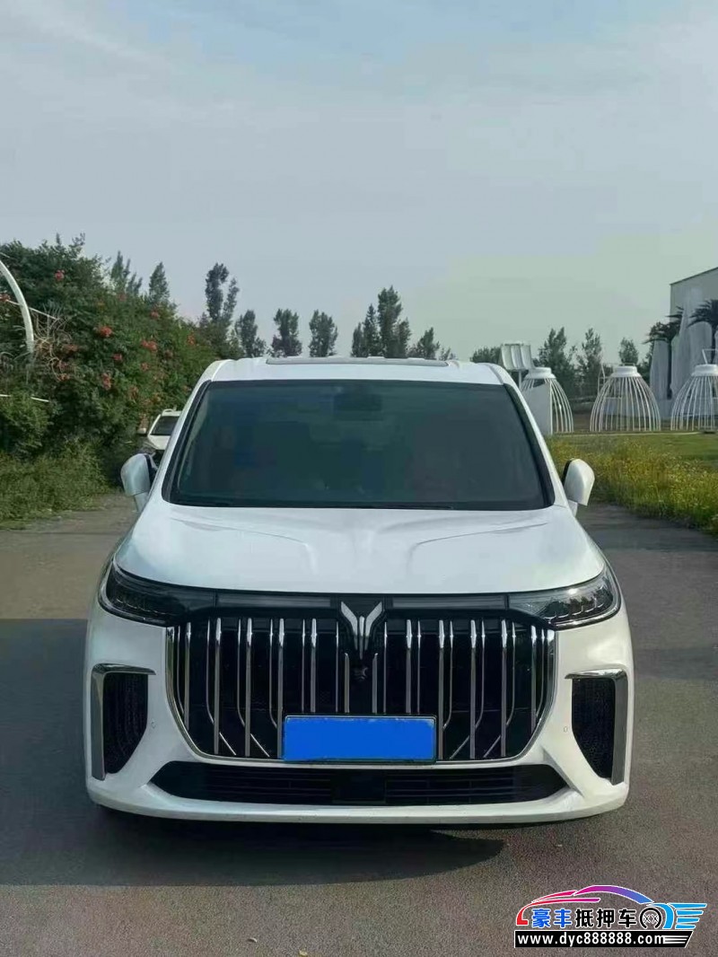 抵押车出售23年岚图梦想家轿车