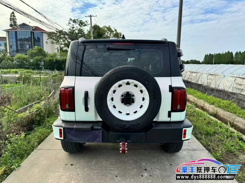 24年WEY坦克300轿车抵押车出售