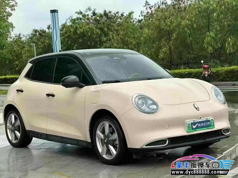 23年欧拉好猫轿车抵押车出售