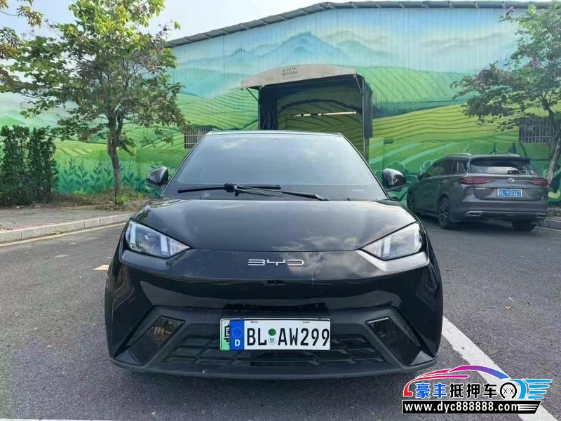 23年比亚迪海鸥轿车抵押车出售