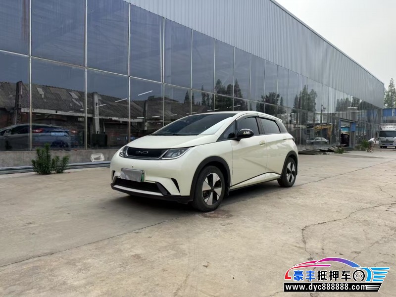 23年比亚迪海豚轿车抵押车出售