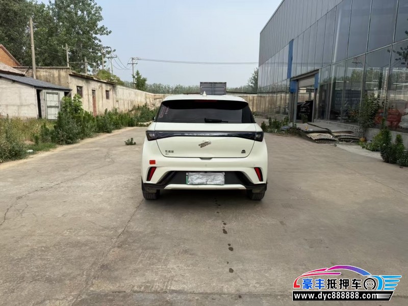 23年比亚迪海豚轿车抵押车出售