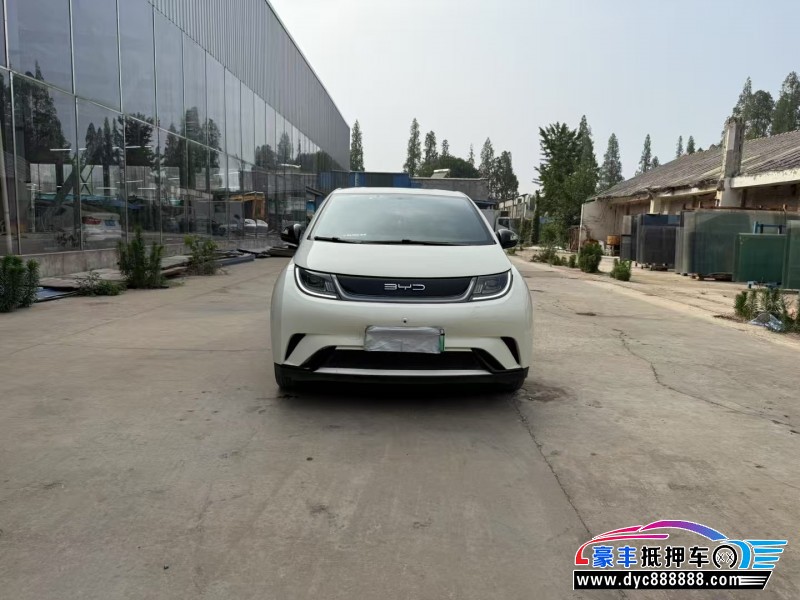 23年比亚迪海豚轿车抵押车出售
