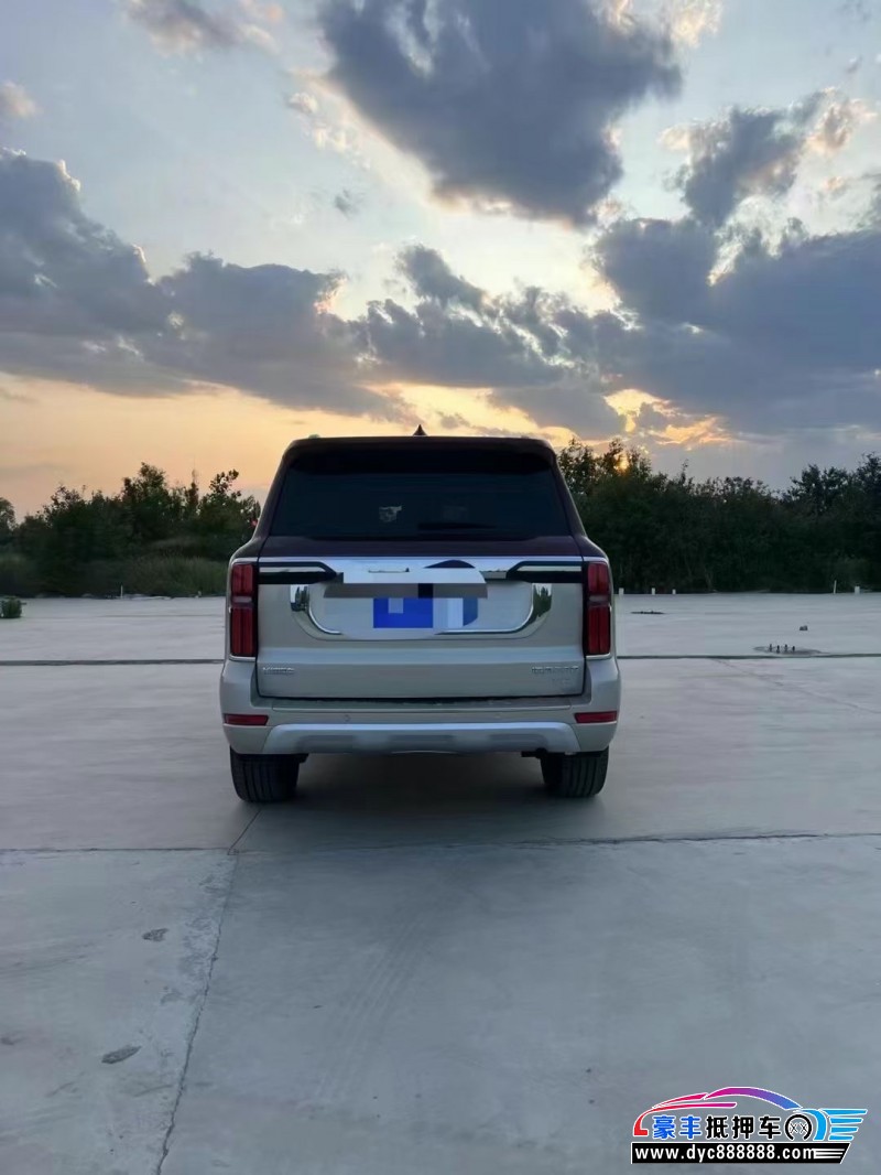 22年WEY坦克500轿车抵押车出售