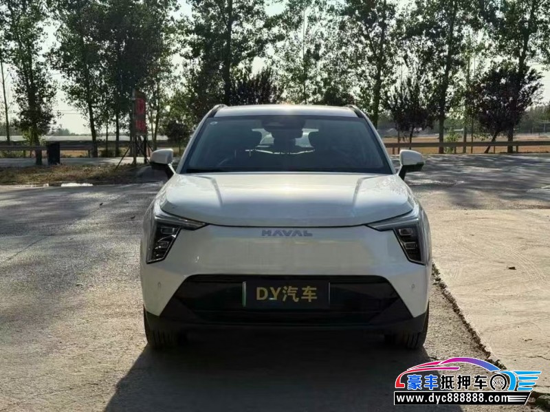 24年长城哈佛枭龙轿车抵押车出售