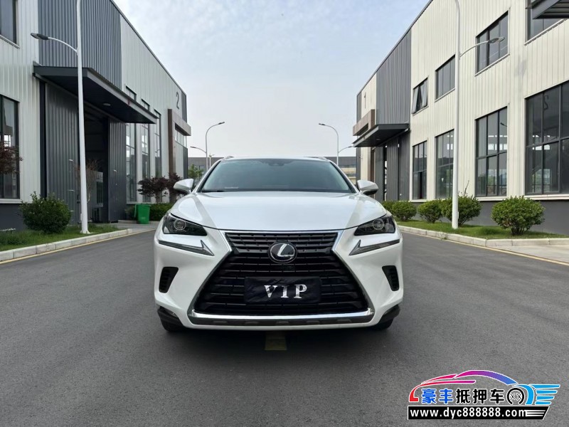 19年雷克萨斯NX轿车