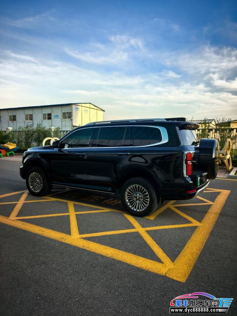 24年WEY坦克500轿车抵押车出售