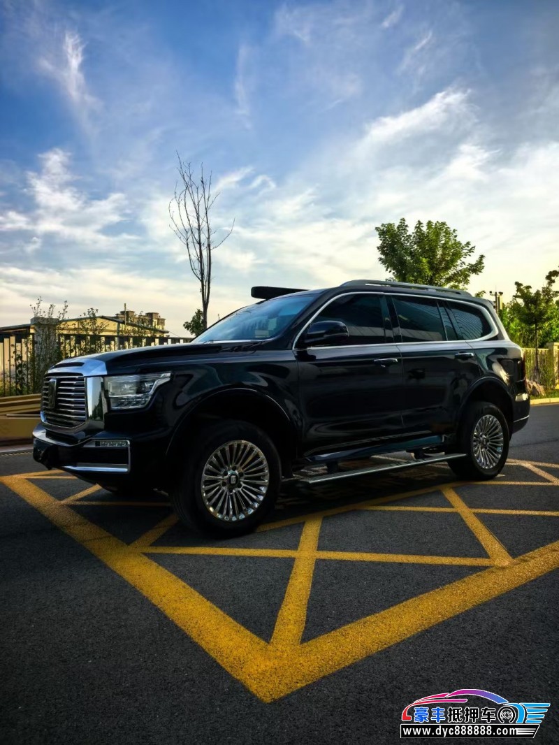 24年WEY坦克500轿车抵押车出售