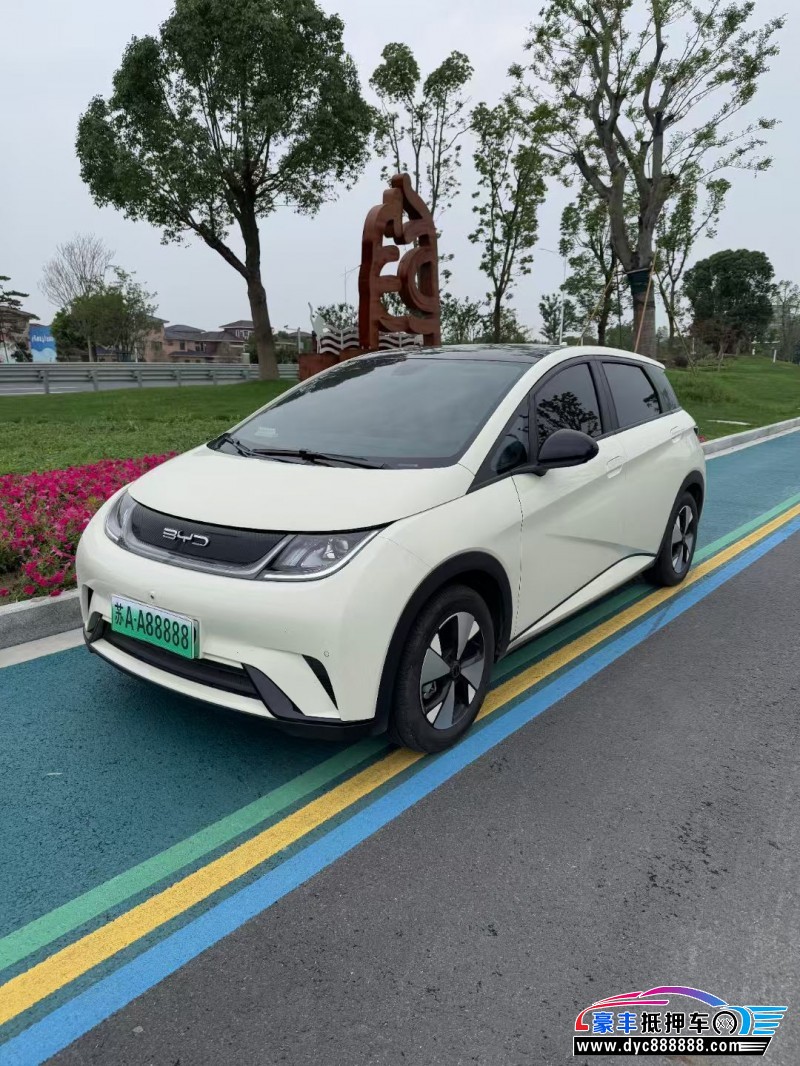 24年比亚迪海豚轿车抵押车出售