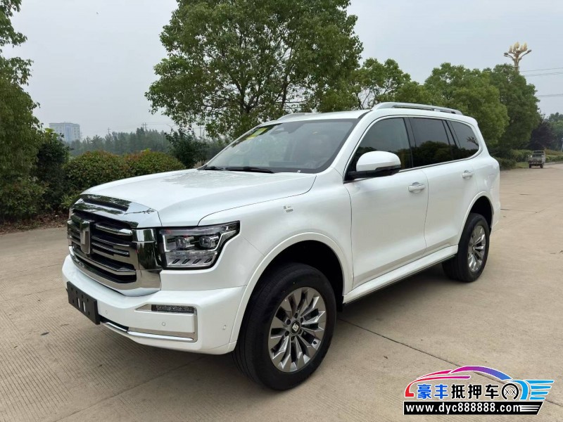 25年WEY坦克500轿车抵押车出售