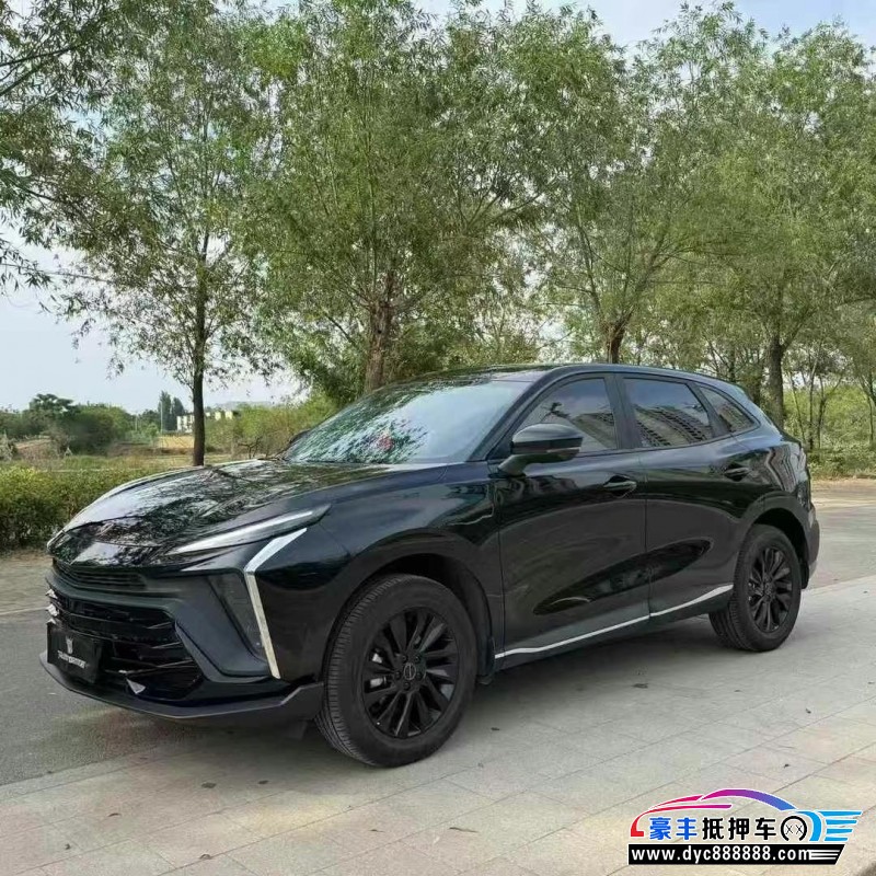 24年东风风行T5轿车抵押车出售