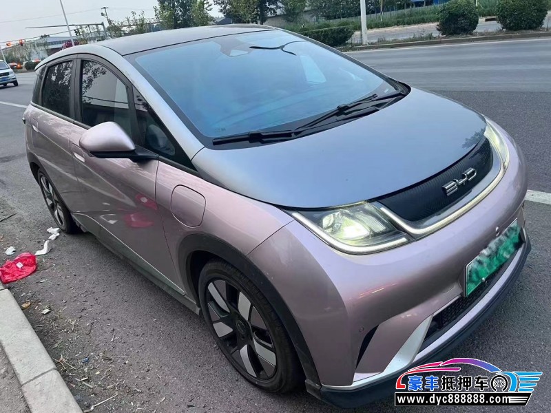 24年比亚迪海豚轿车抵押车出售