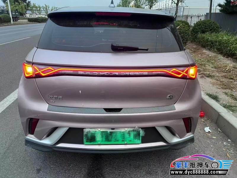 24年比亚迪海豚轿车抵押车出售