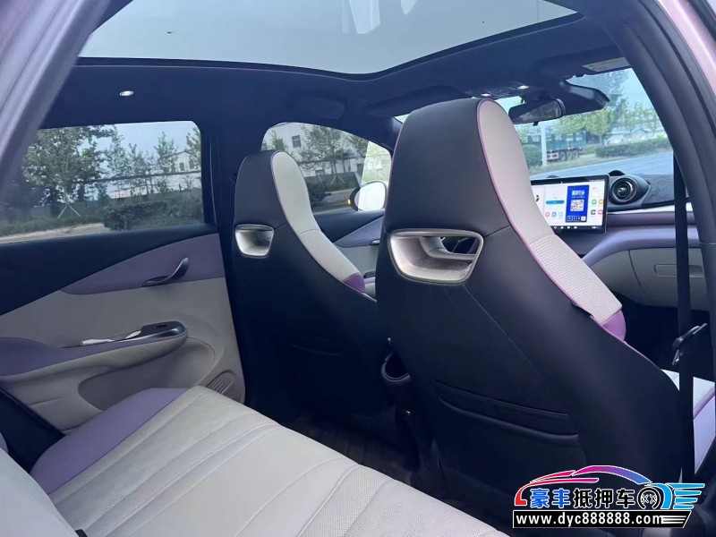 24年比亚迪海豚轿车抵押车出售