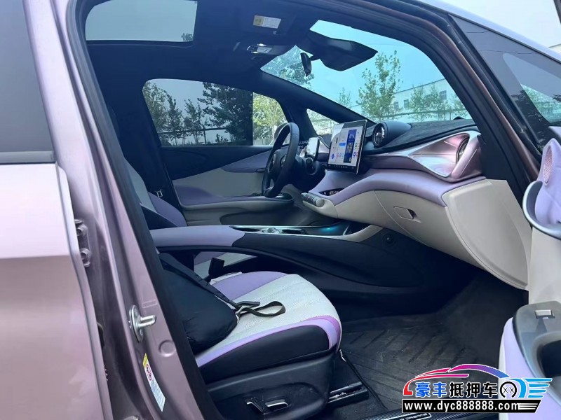 24年比亚迪海豚轿车抵押车出售