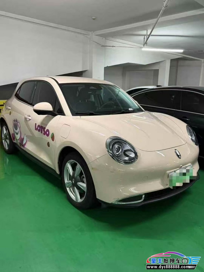 23年欧拉好猫轿车抵押车出售