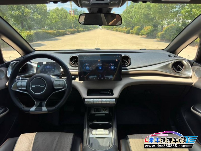 24年比亚迪海豚轿车抵押车出售