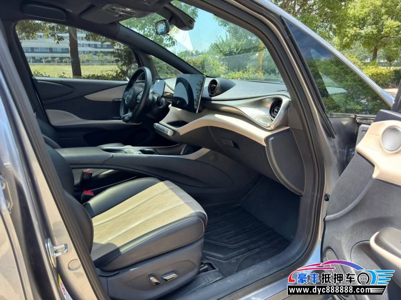 24年比亚迪海豚轿车抵押车出售