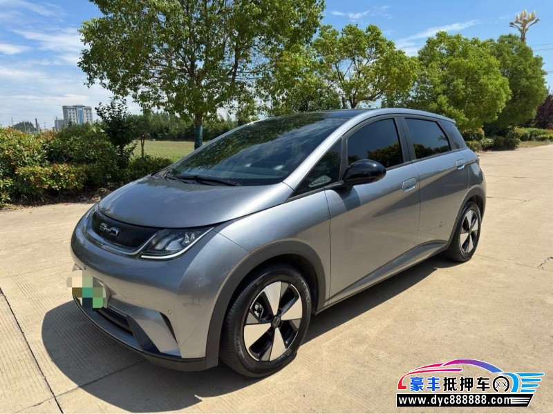 24年比亚迪海豚轿车抵押车出售