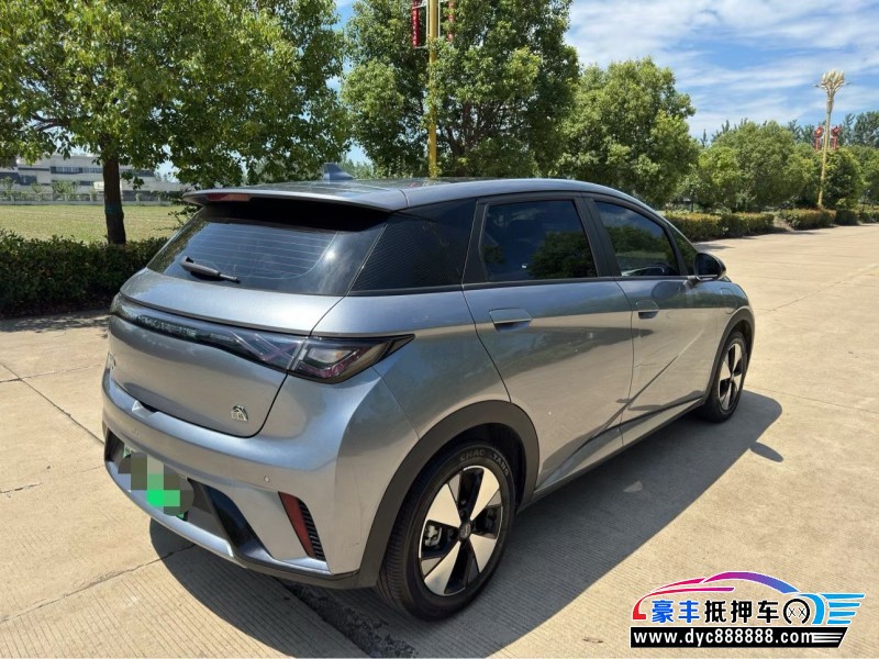 24年比亚迪海豚轿车抵押车出售