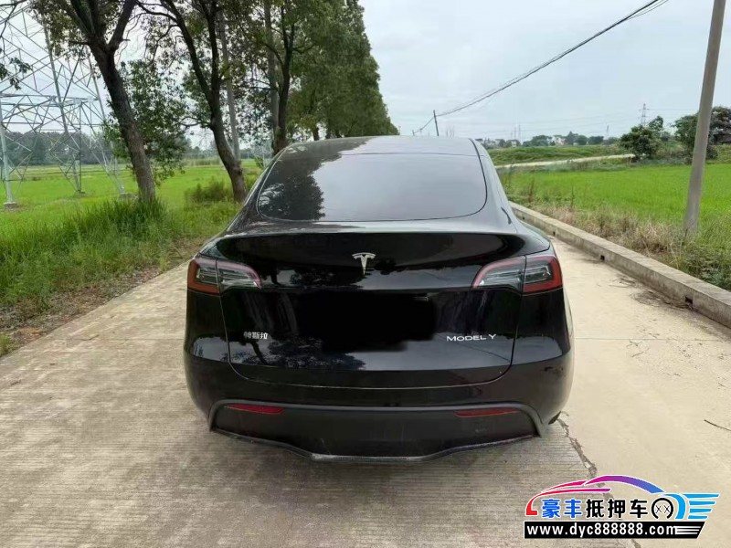 24年特斯拉Model Y轿车抵押车出售