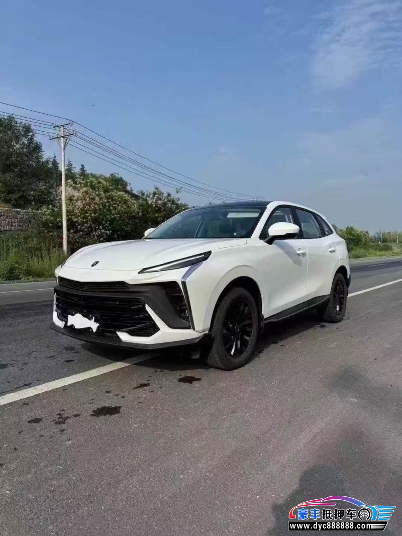 24年东风风行T5轿车抵押车出售