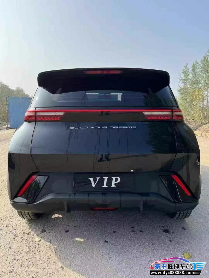 23年比亚迪海鸥轿车抵押车出售