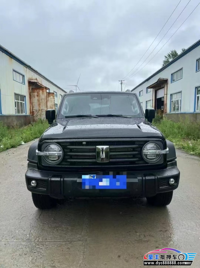 24年WEY坦克300轿车抵押车出售