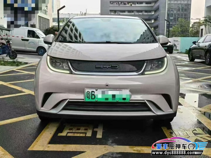 22年比亚迪海豚轿车抵押车出售