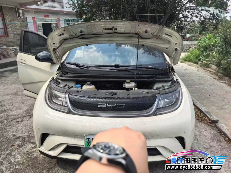 23年比亚迪海豚轿车抵押车出售