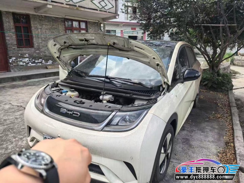 23年比亚迪海豚轿车抵押车出售