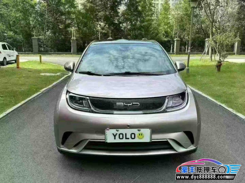 23年比亚迪海豚轿车抵押车出售