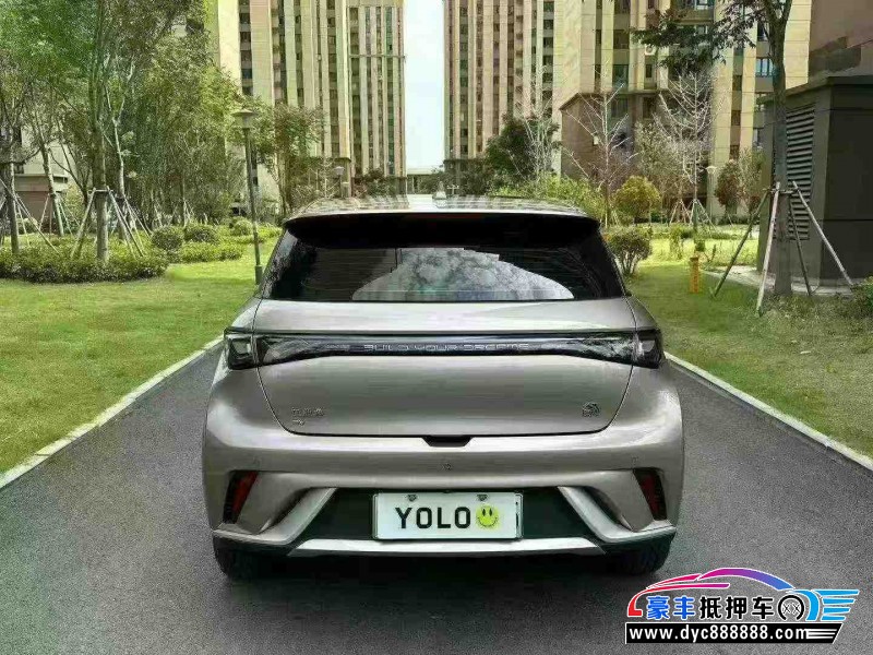 23年比亚迪海豚轿车抵押车出售