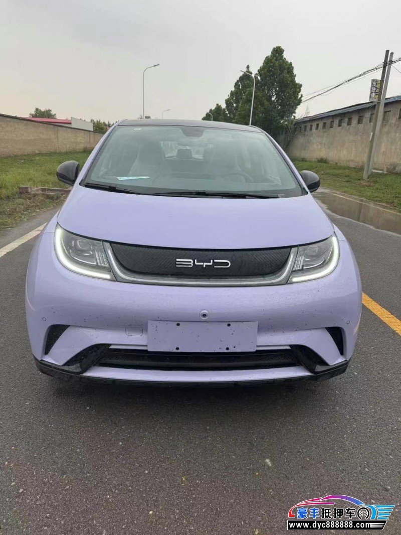 24年比亚迪海豚轿车抵押车出售