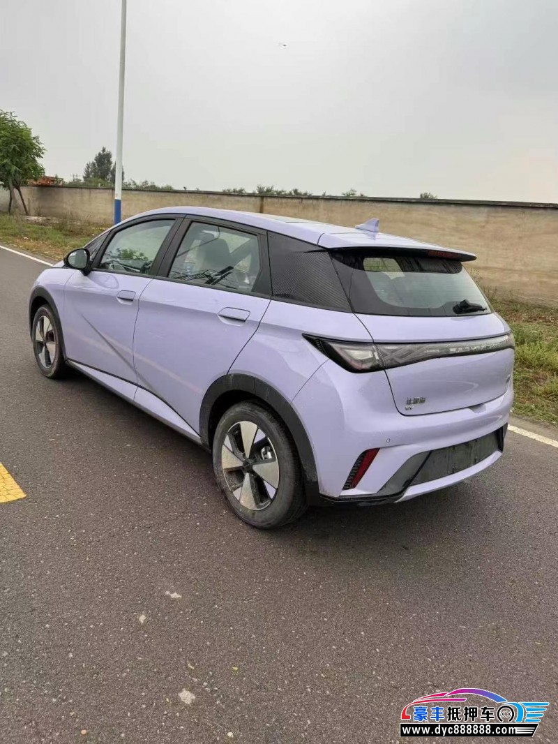 24年比亚迪海豚轿车抵押车出售