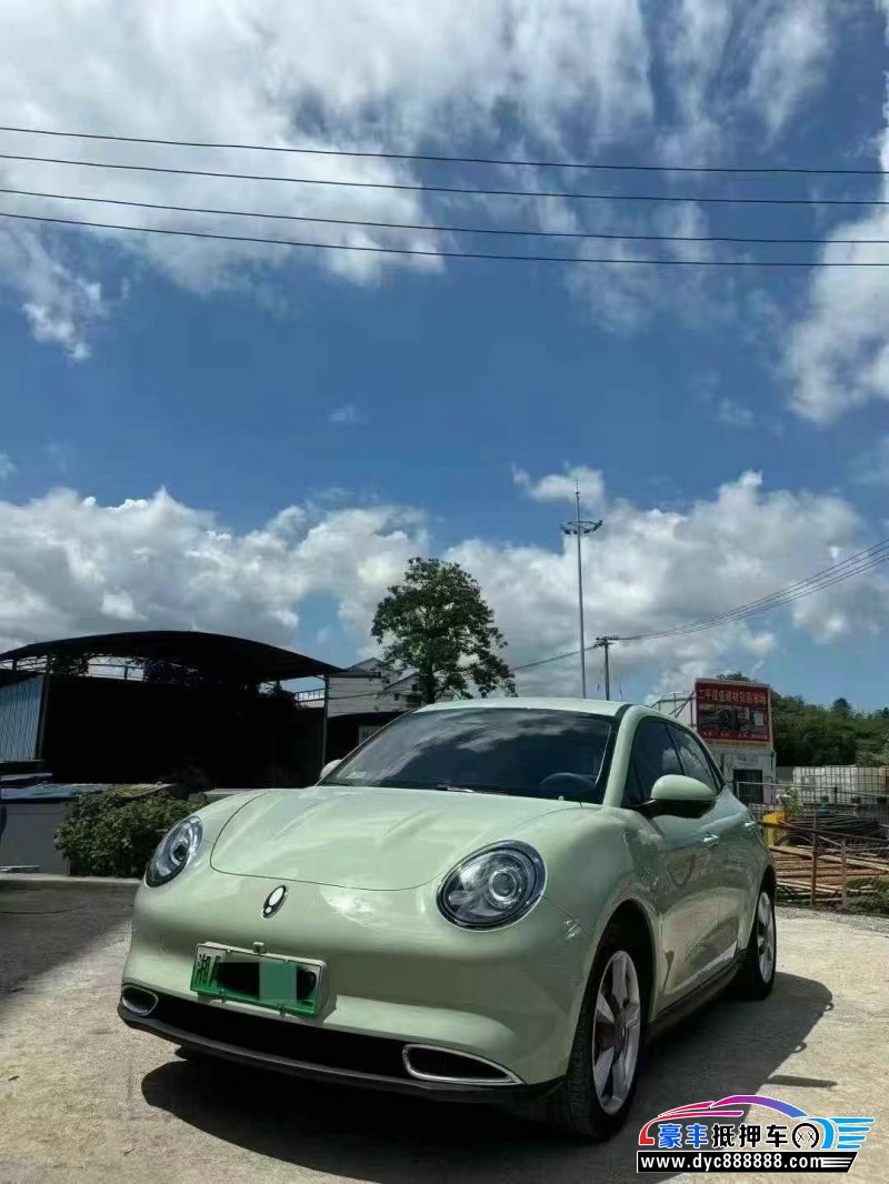 23年欧拉好猫SUV抵押车出售