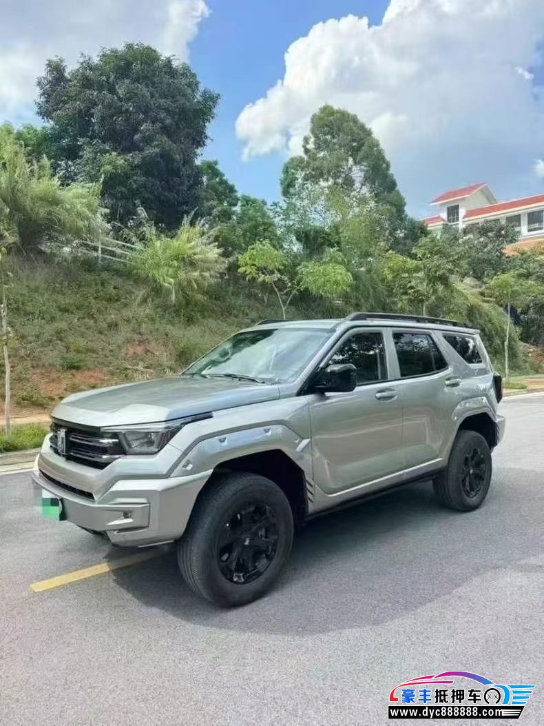 24年WEY坦克400轿车抵押车出售