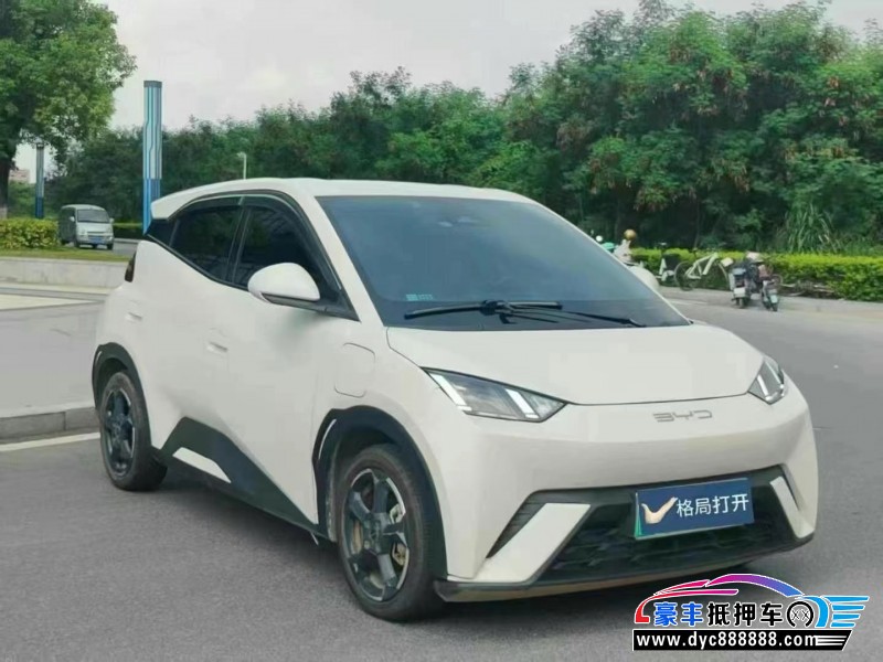 23年比亚迪海鸥轿车抵押车出售