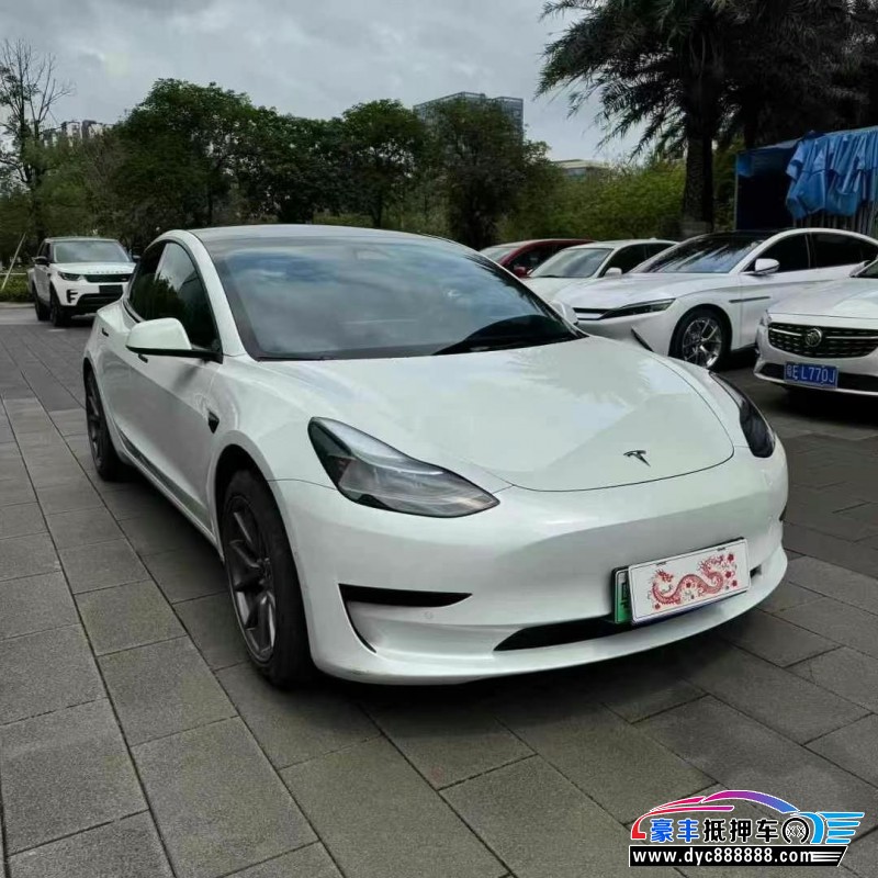 23年特斯拉MODEL 3轿车抵押车出售